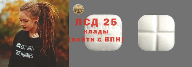 PSILOCYBIN Аркадак