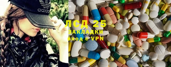 PSILOCYBIN Аркадак