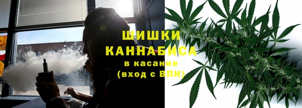 PSILOCYBIN Аркадак